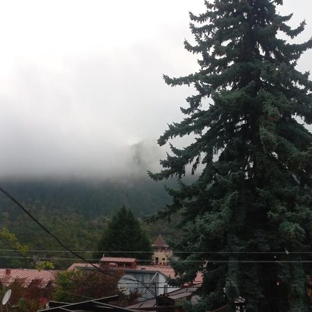 House Lia Hotell Borjomi Exteriör bild