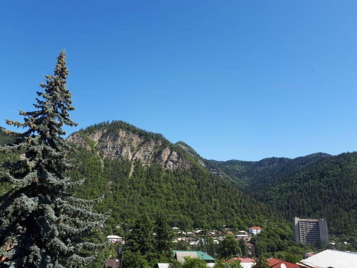 House Lia Hotell Borjomi Exteriör bild